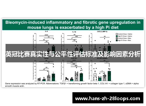 英冠比赛真实性与公平性评估标准及影响因素分析 英冠比赛真实性与公平性评估标准及影响因素分析
