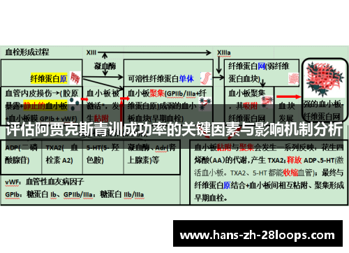 评估阿贾克斯青训成功率的关键因素与影响机制分析