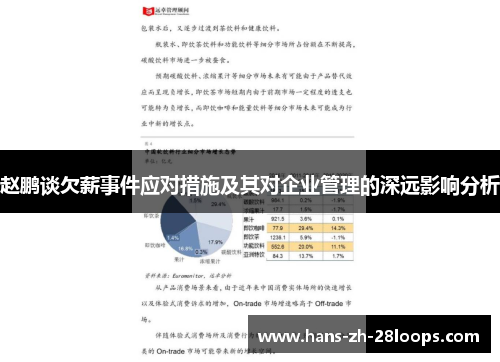 赵鹏谈欠薪事件应对措施及其对企业管理的深远影响分析